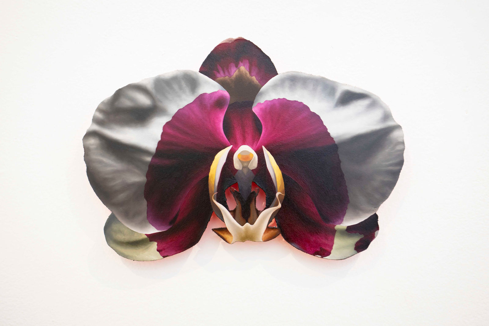 Mason Pott, Orchid (White & Magenta), 2025