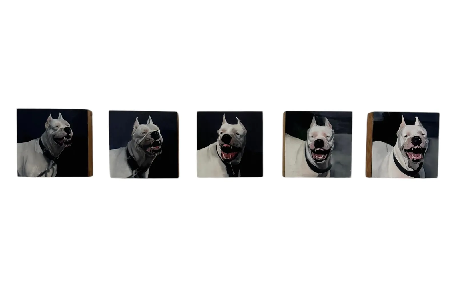 Valeria Terrazas, Bark Before the Bite [SET OF 5], 2025