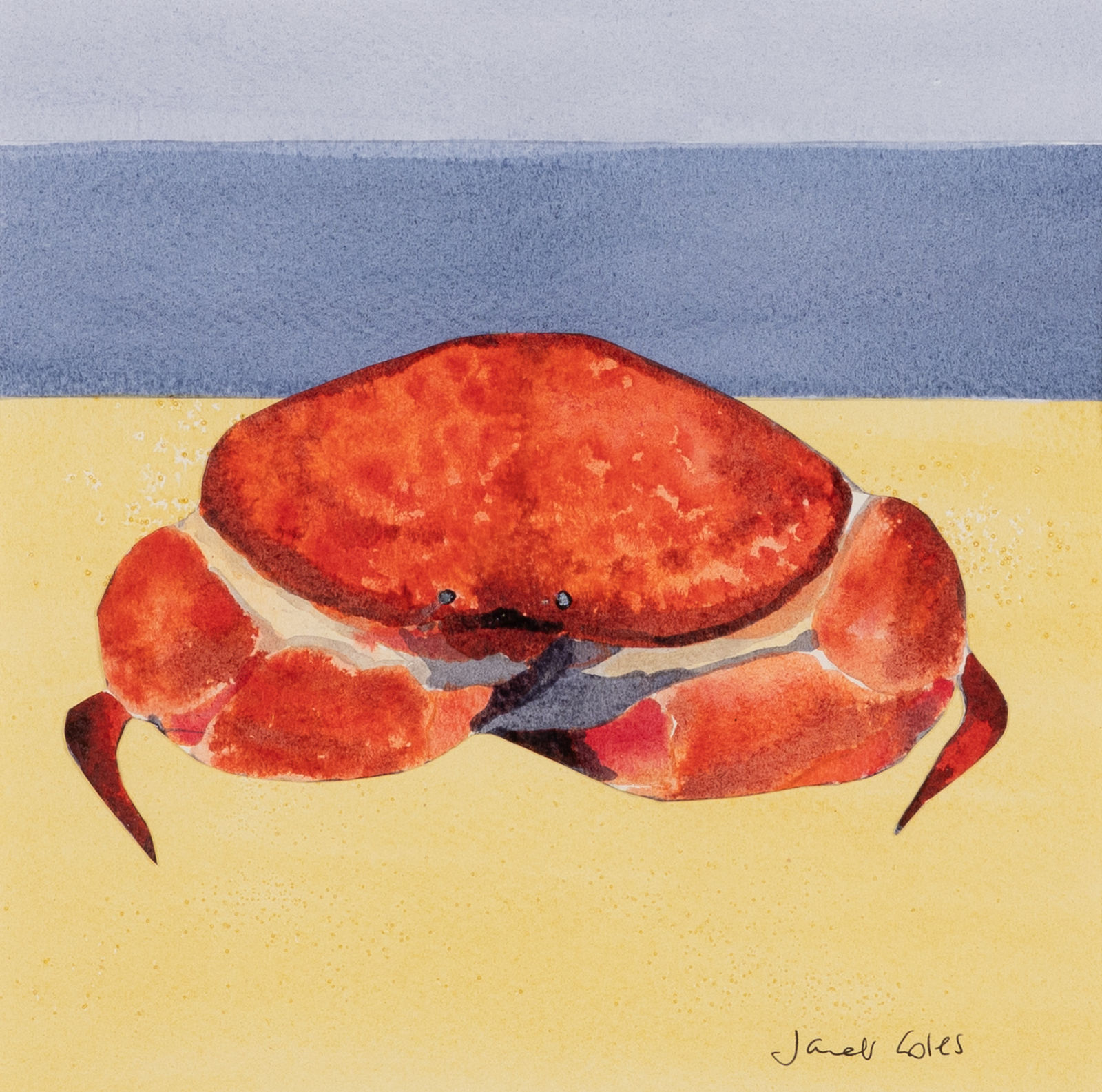 Janet Coles, Crab, 2025