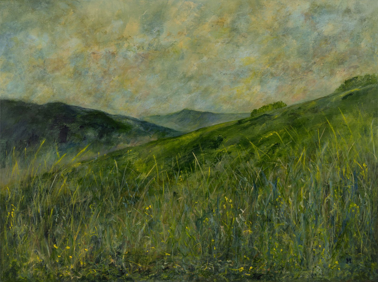 Debbie Morris, Summer Meadow II, 2024