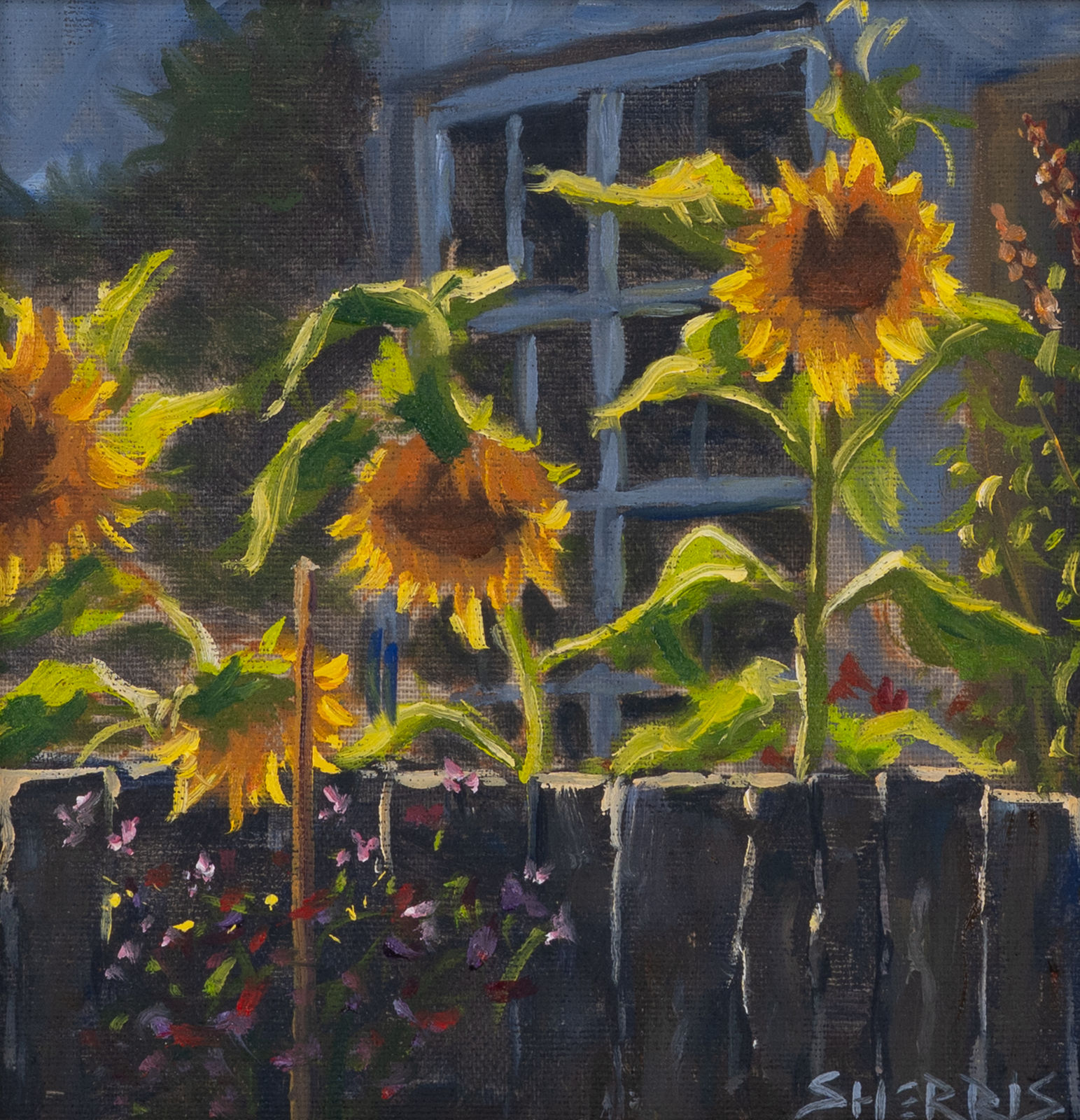 Steve Sherris, Nosy Neighbours , 2025