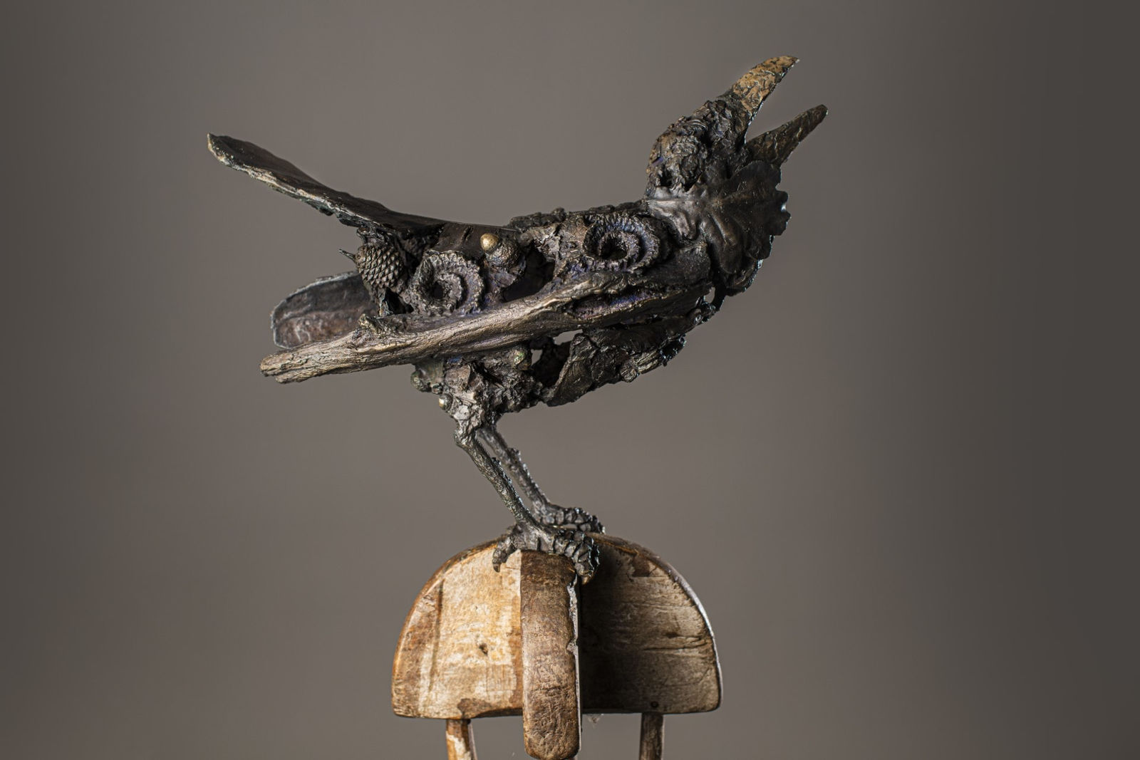 Olivia Ferrier, Corvid Caw