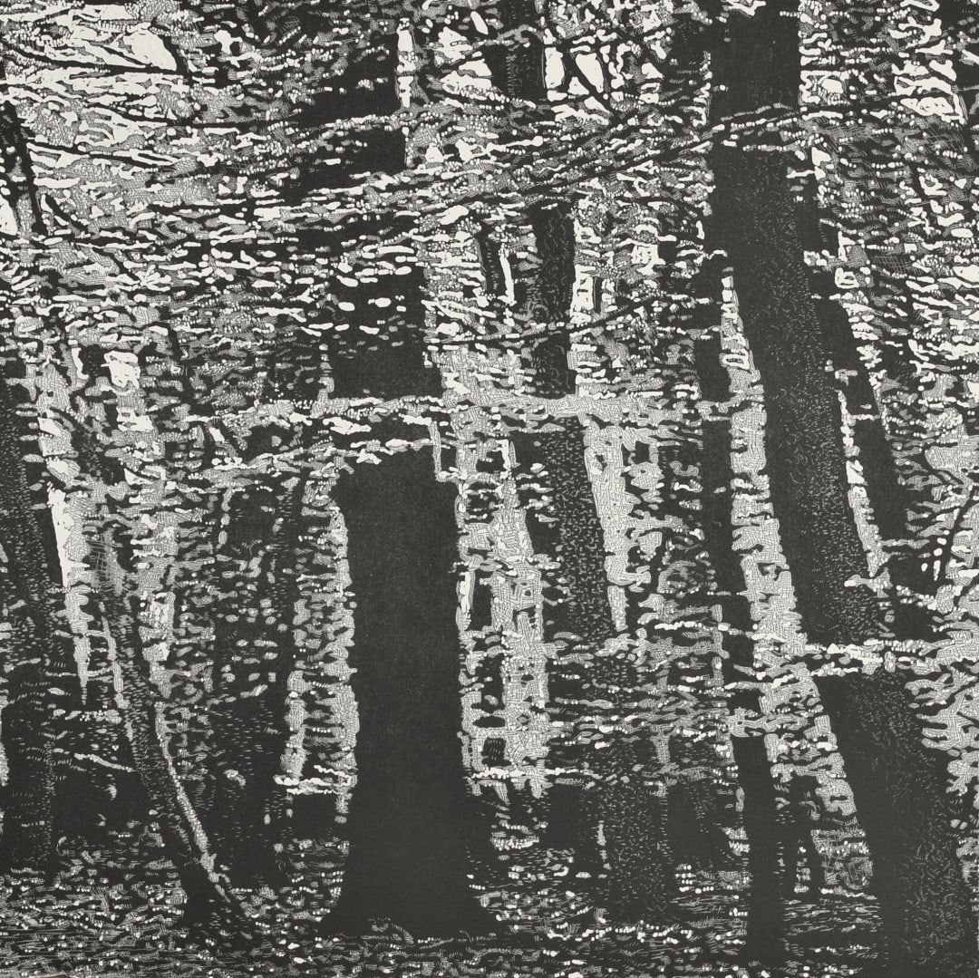 Trevor Price, Woodland VI