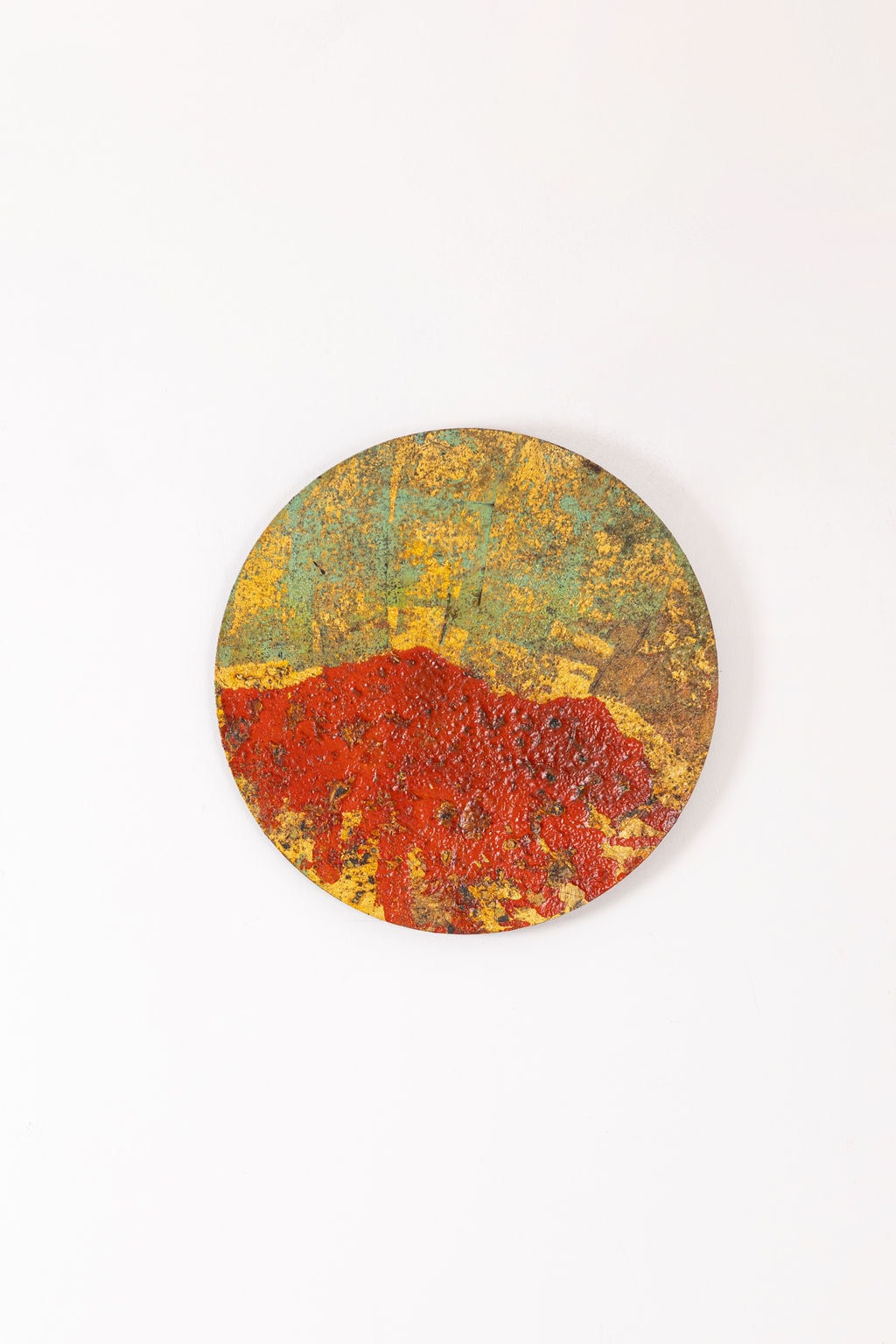 Sam Peacock, Zorio Red Awaken