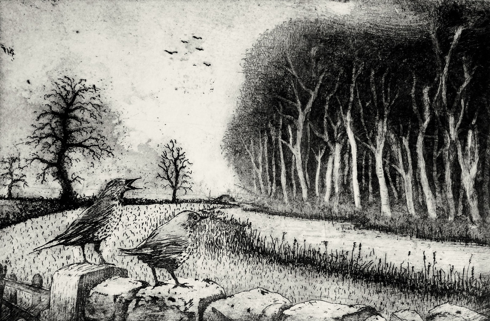 Tim Southall, Mistle Thrush Song