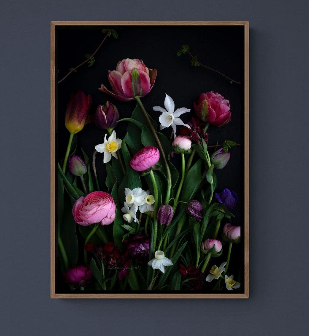 Dianna Jazwinski, With Narcissus