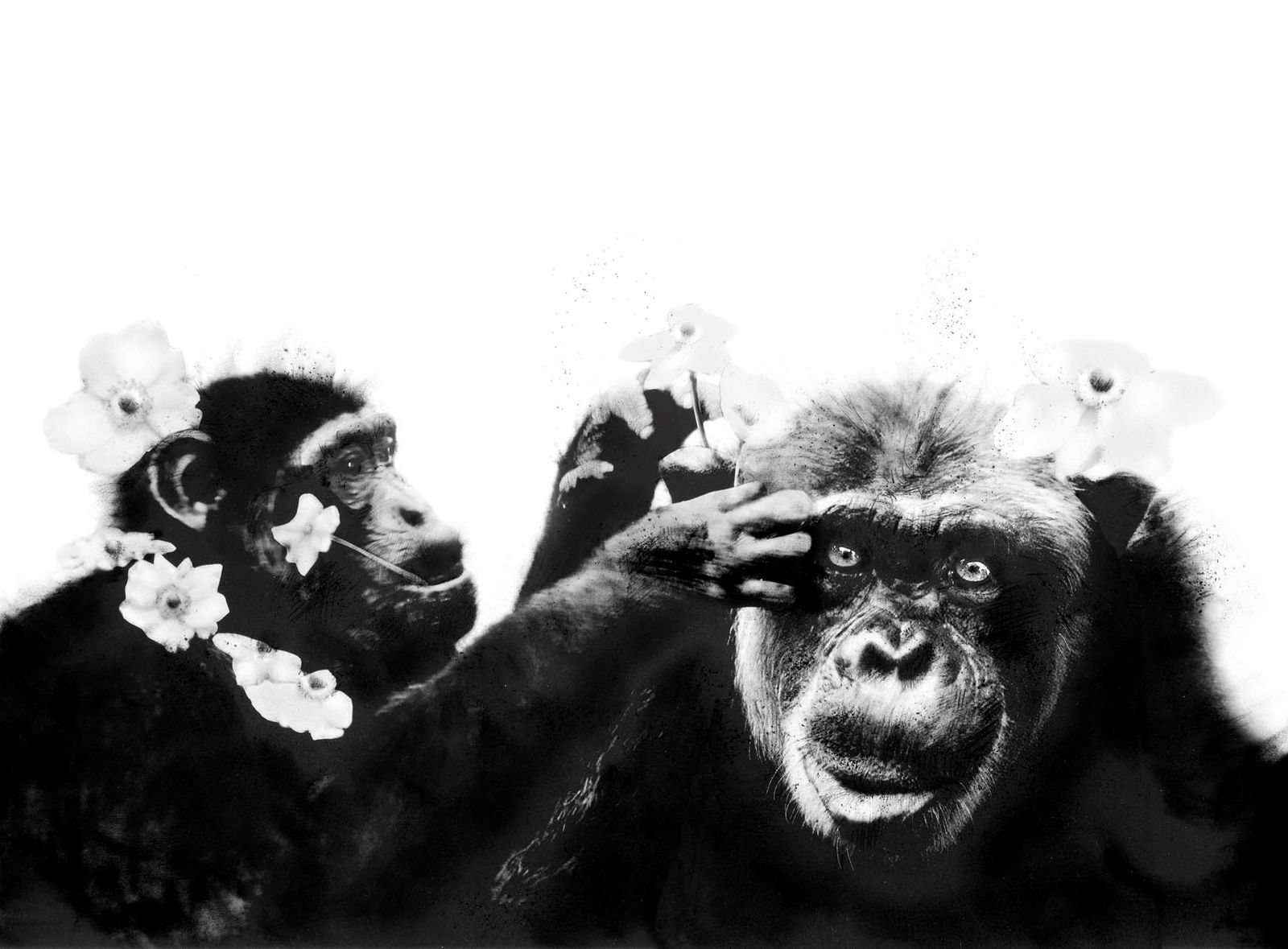 Adam Oliver, Thank Heavens for Little Girls 3/24