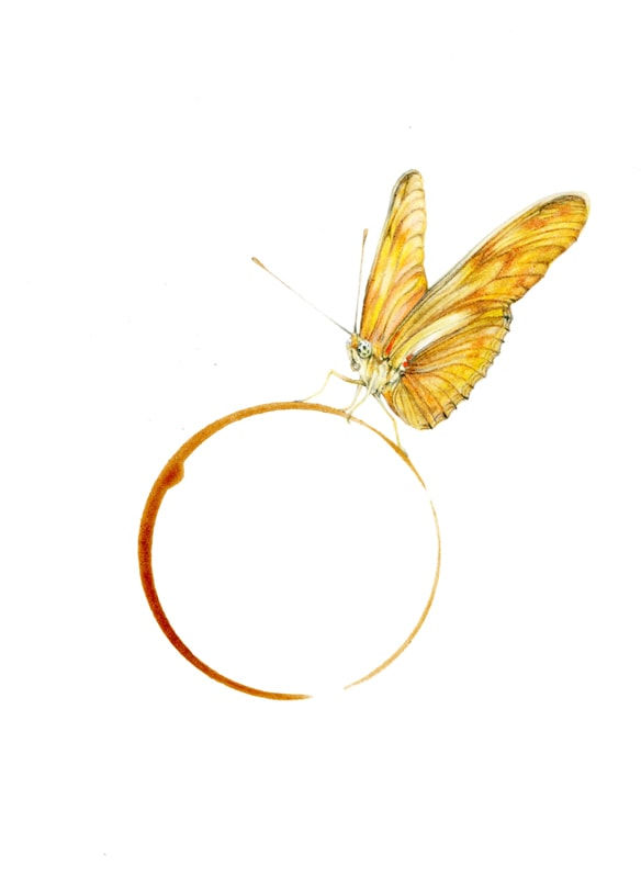 Rose Sanderson, Coffee Stain 6