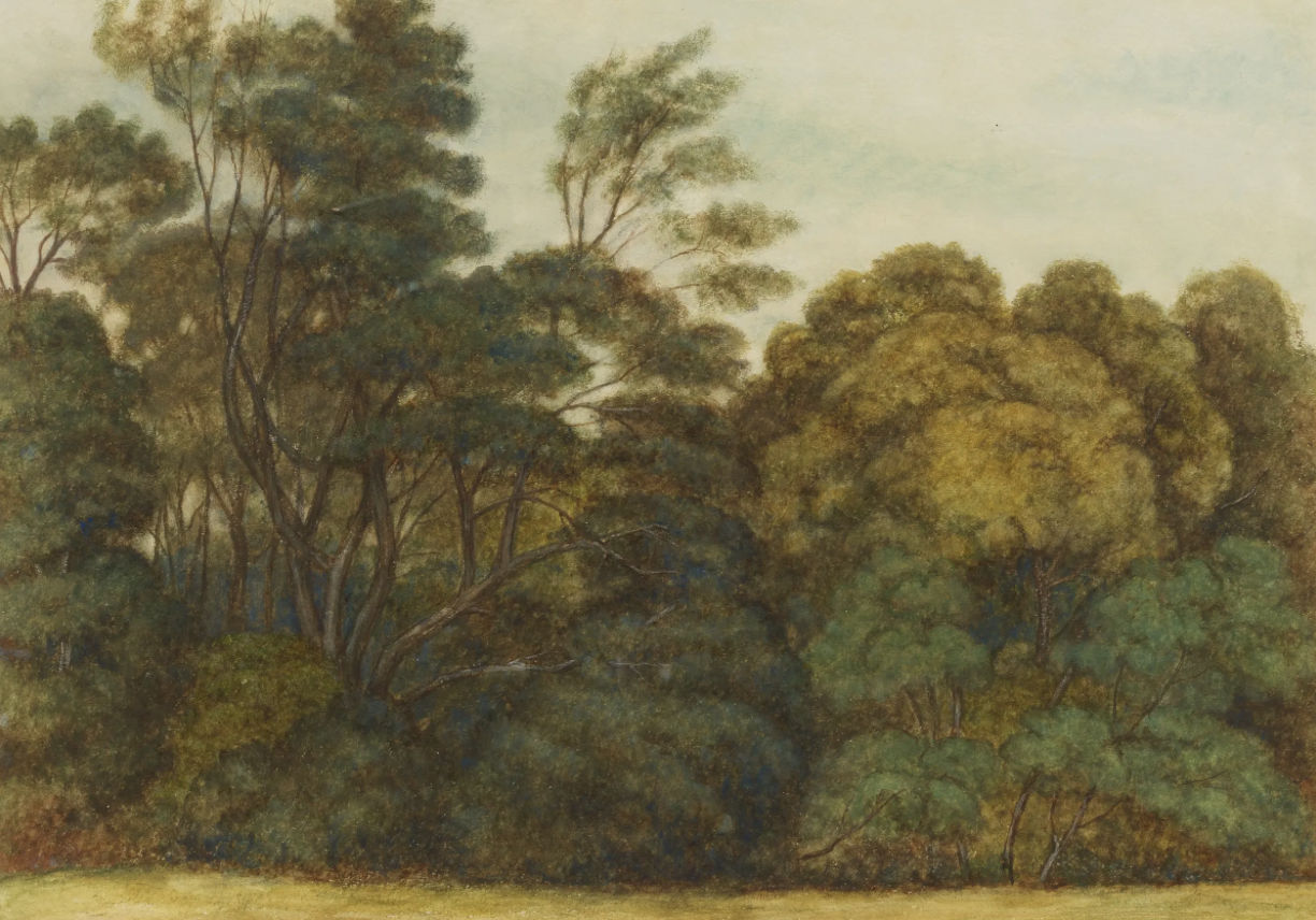 John Roddam Spencer Stanhope, Study of Trees, c.1880
