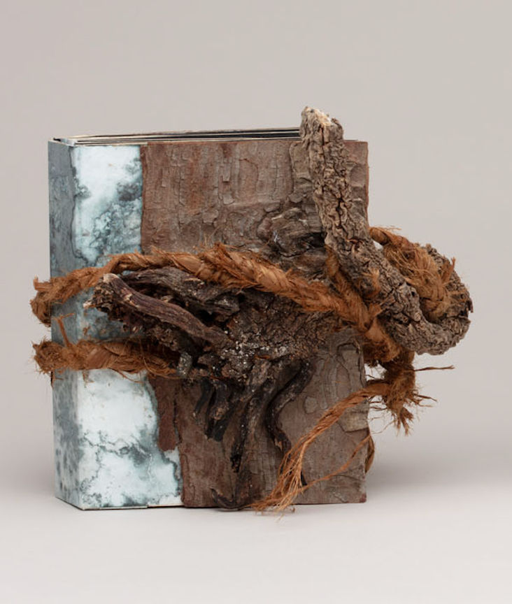 Geraldine van Heemstra, Concertina I