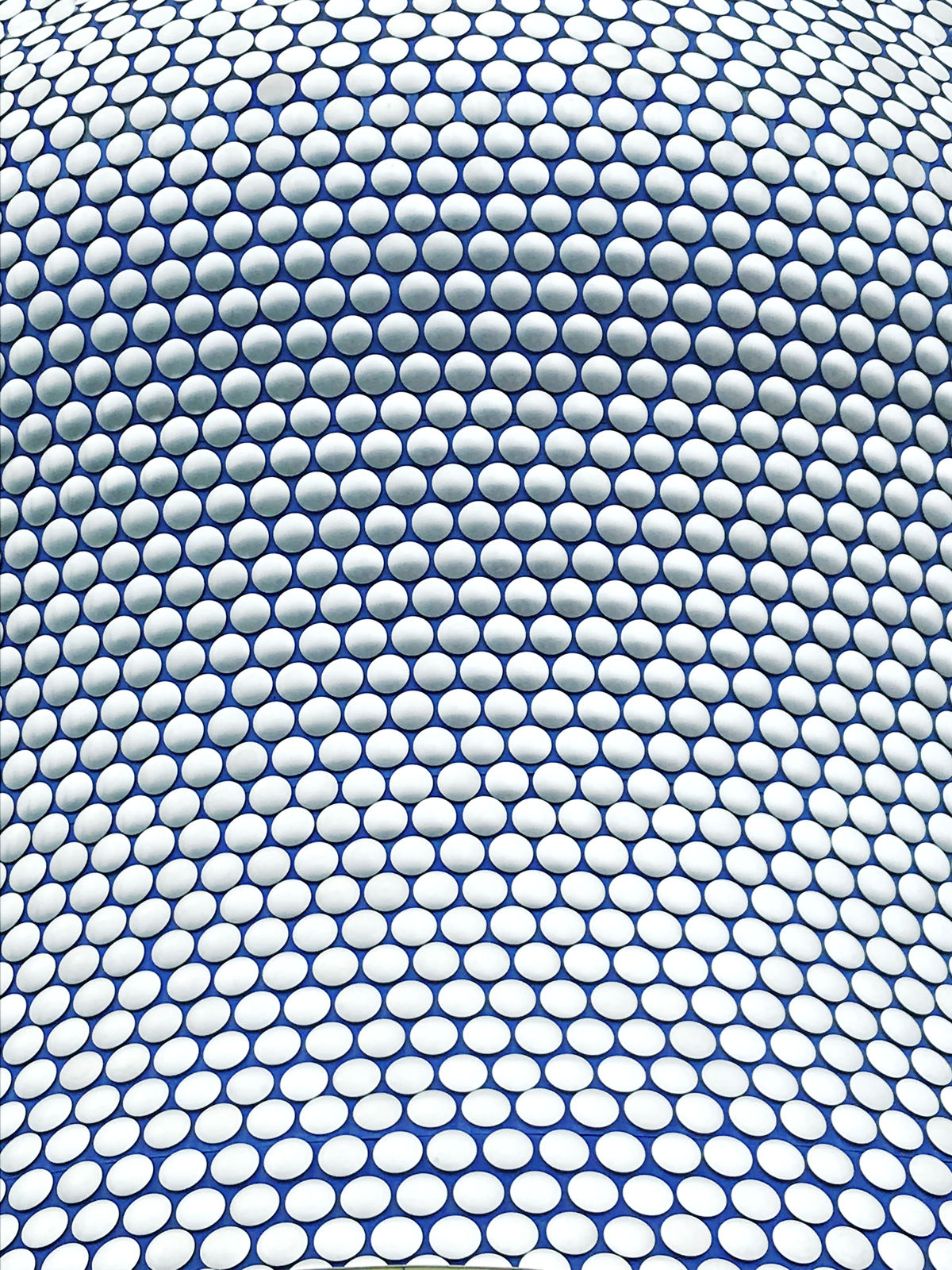 Luisa Schultz, Untitled, 2018