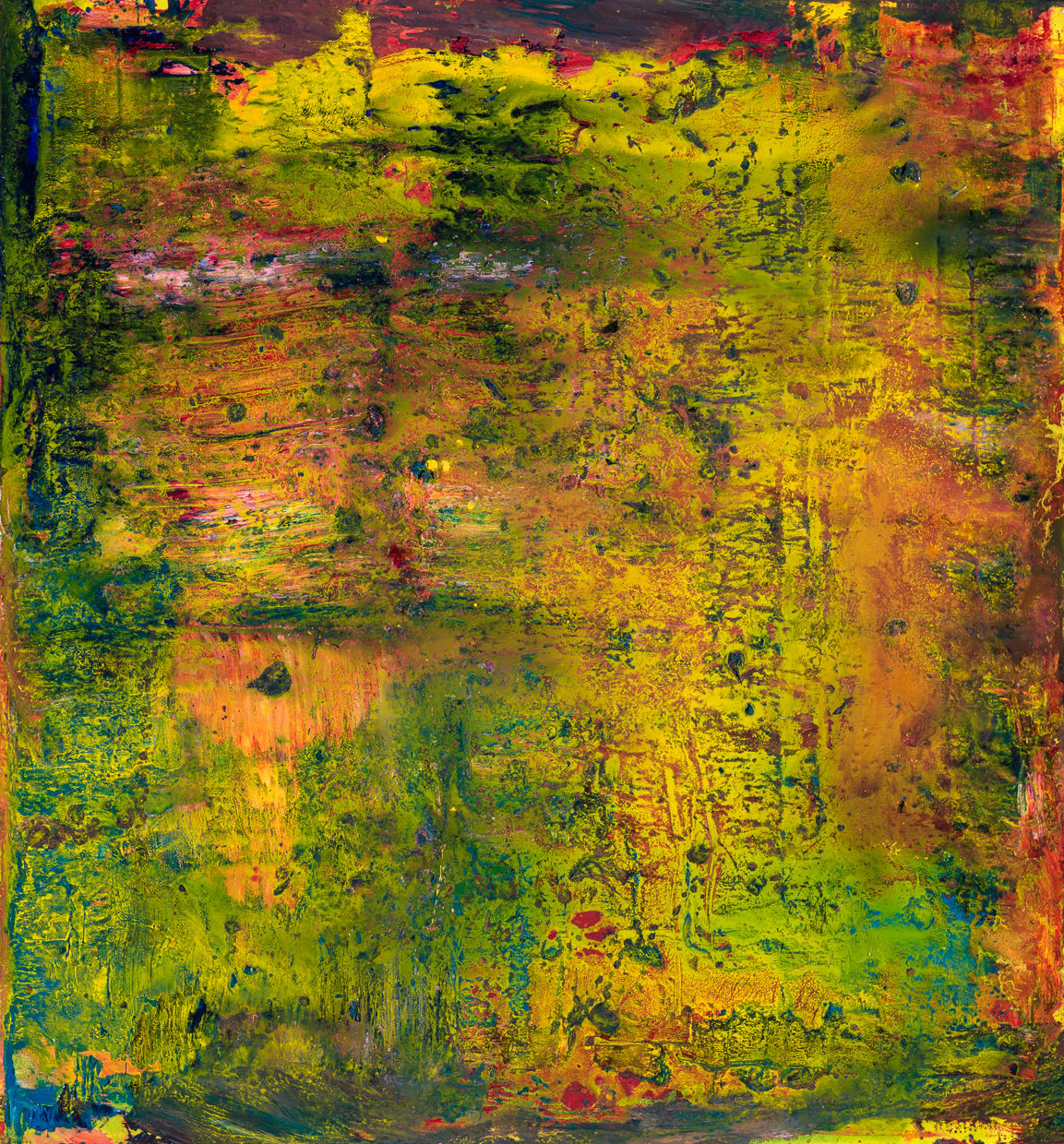 King David, Main Ridge, 2025