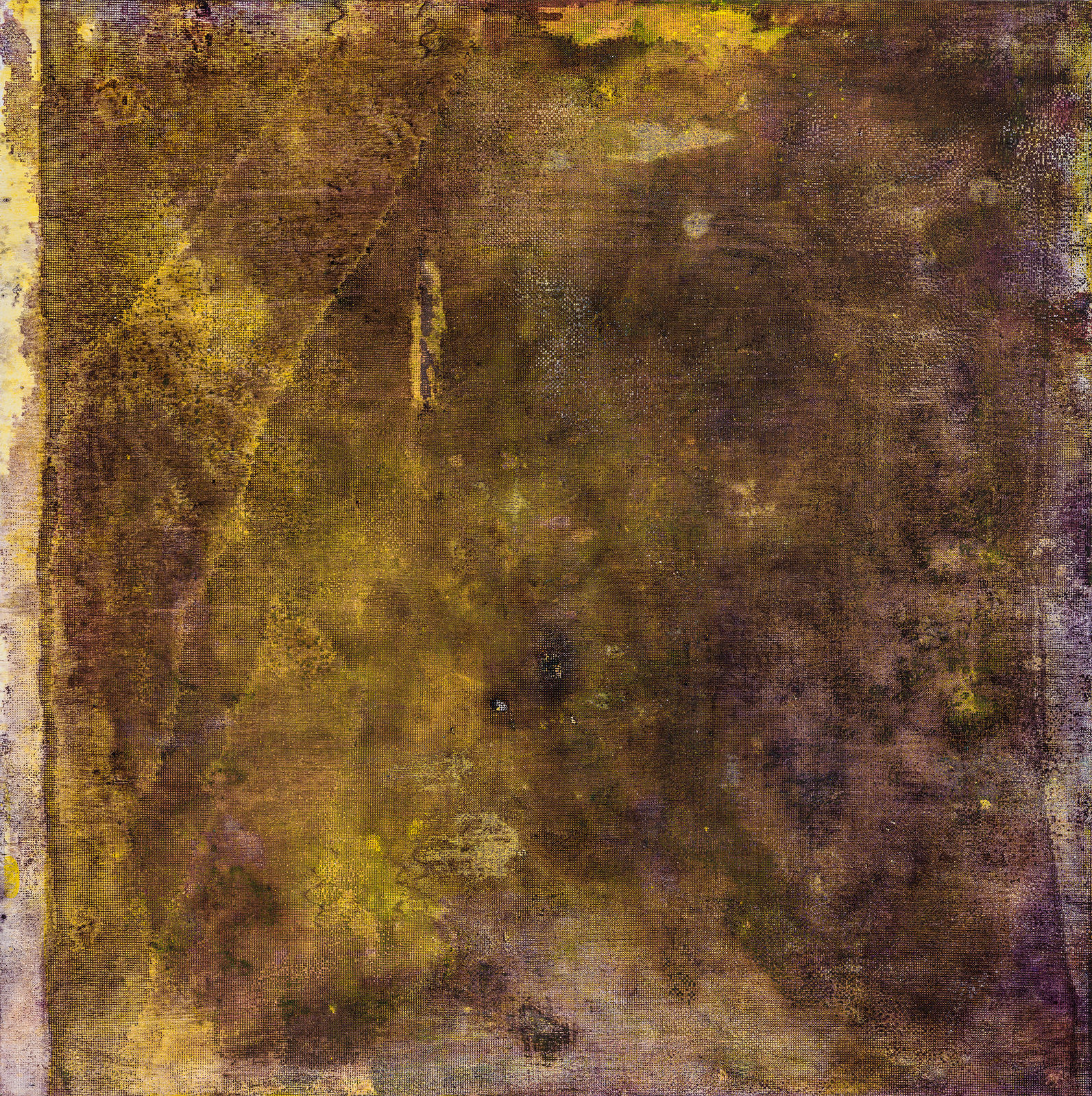 King David, Untitled, 2024