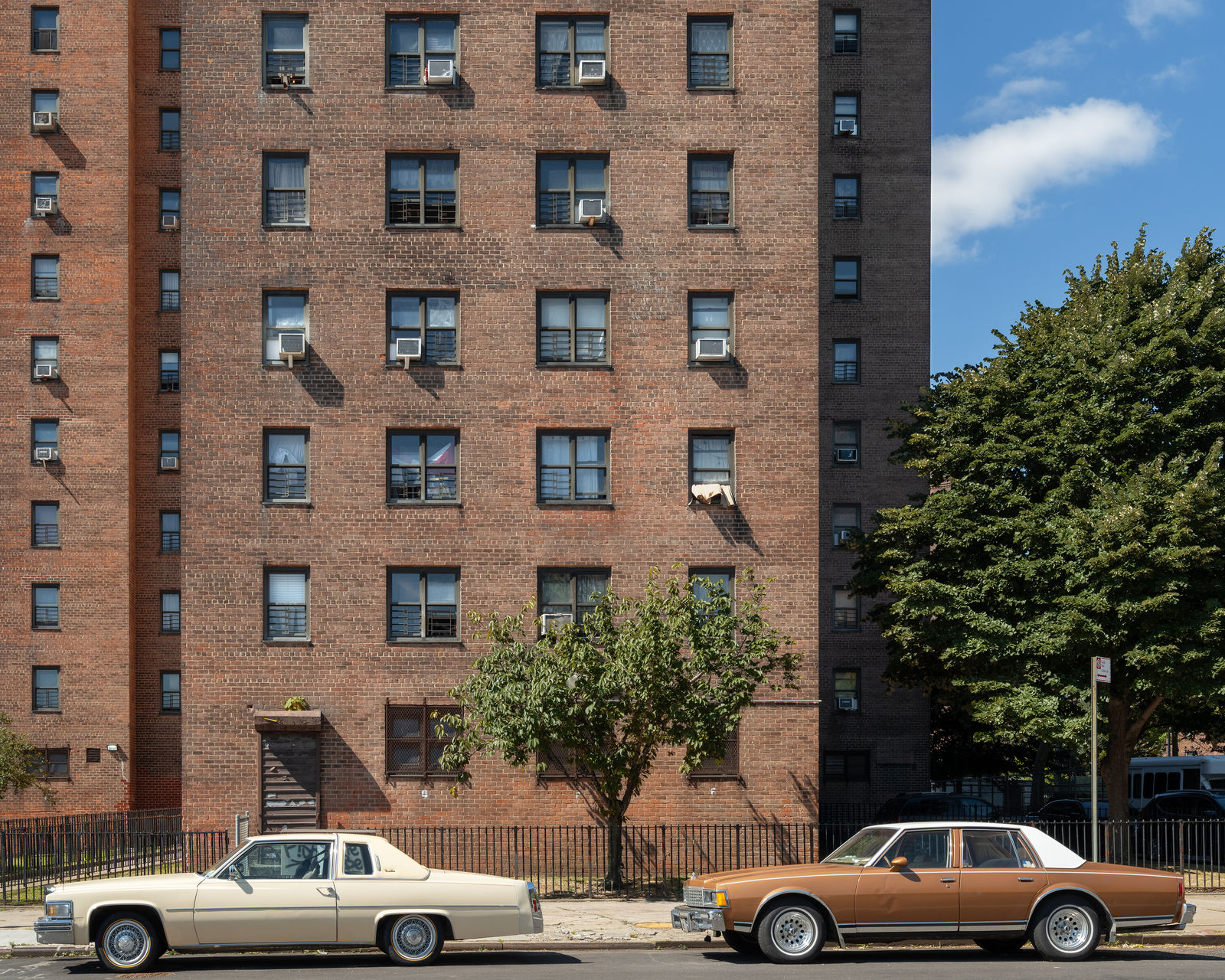 Anastasia Samoylova, Two Cars, East Harlem, NY (from the Atlantic Coast series), 2024