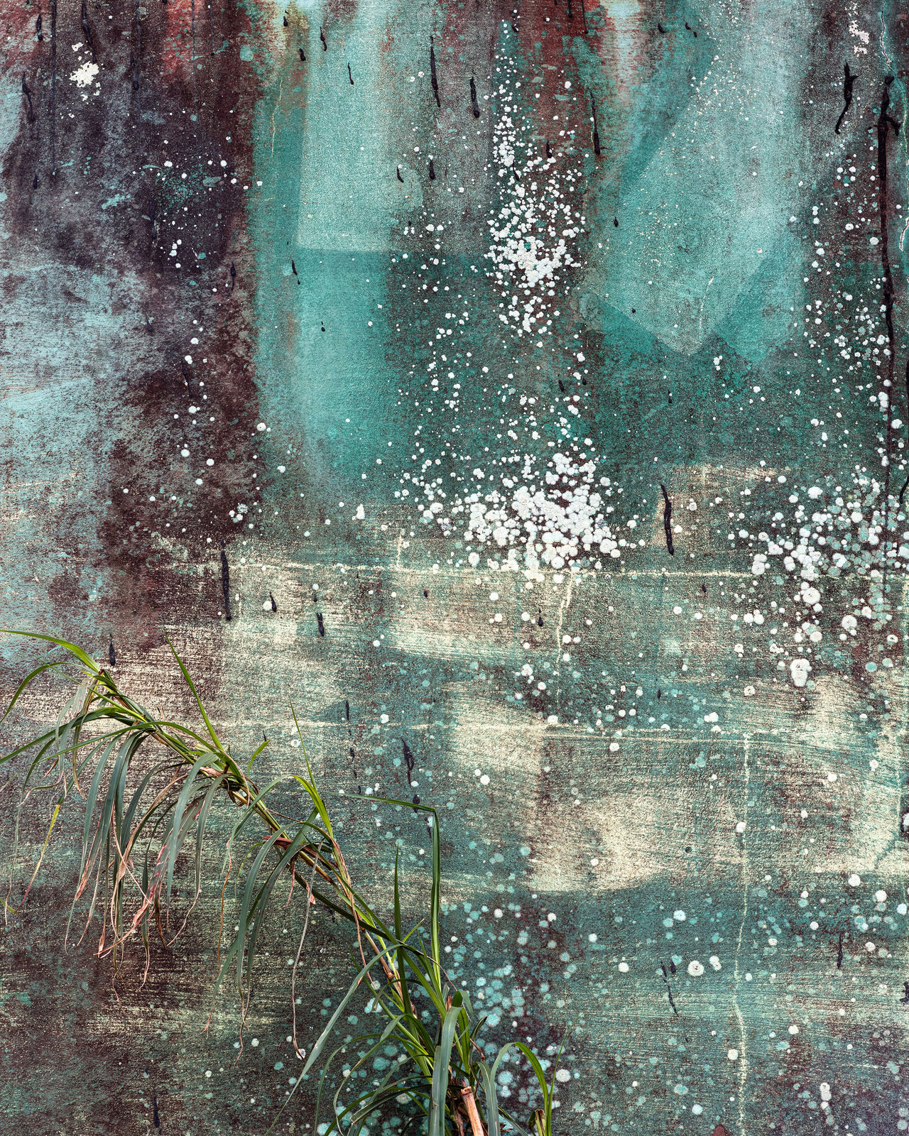 Anastasia Samoylova, Efflorescence (from the Floridas series), 2020