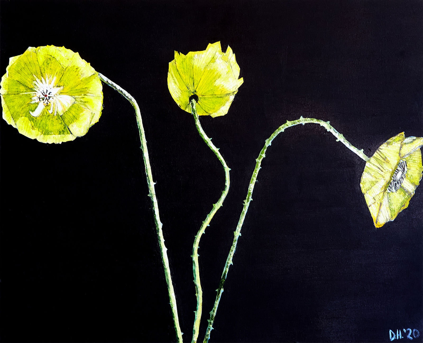 Don Hershman, Yellow Flowers, 2021