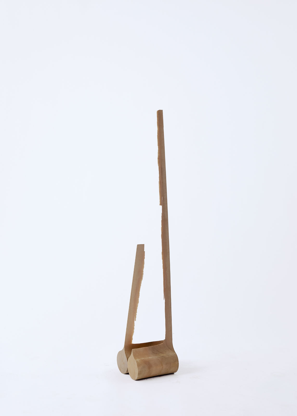 Nick Polansky, Hydra 05_, 204