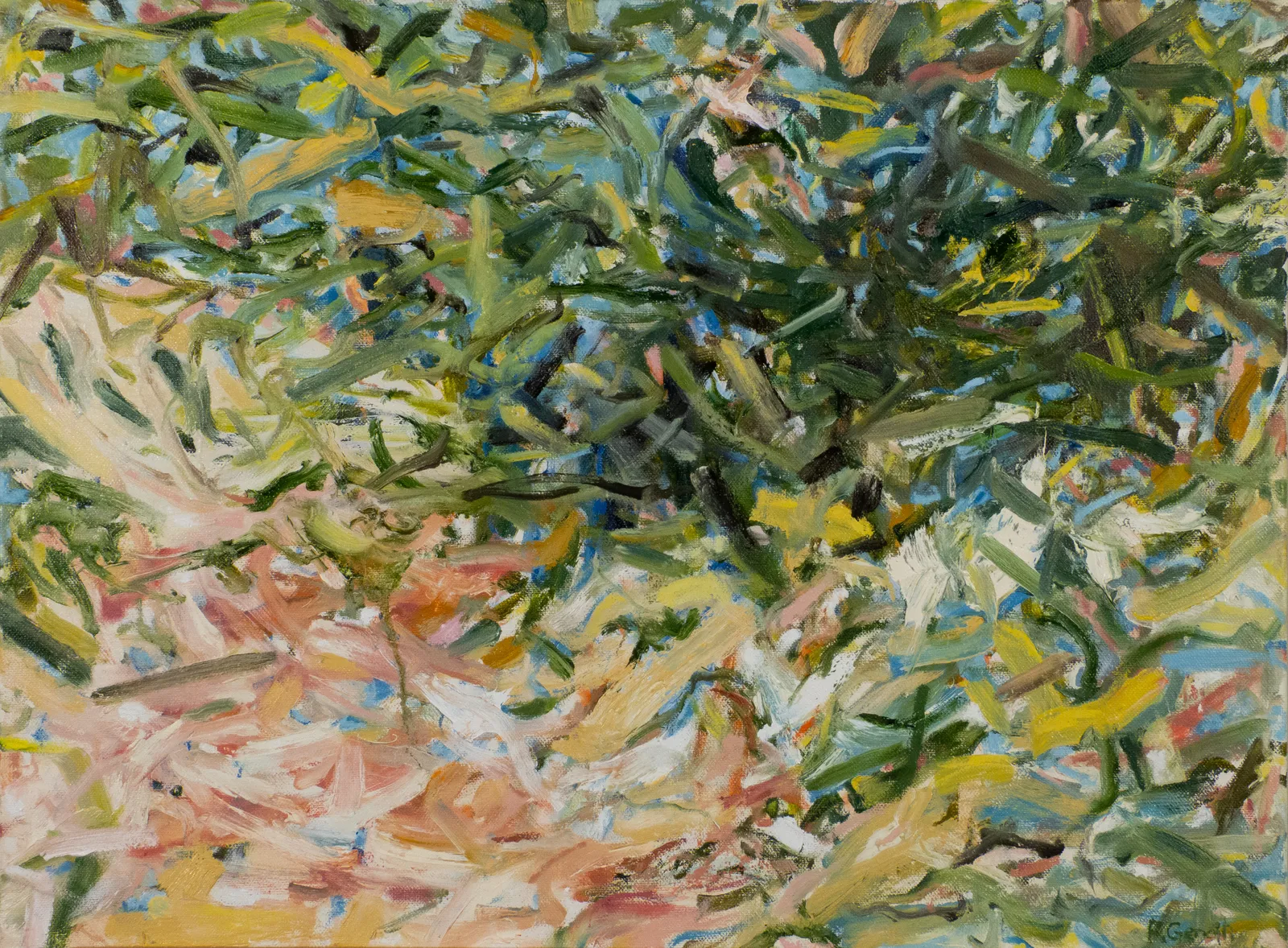 Ronnie Genotti, Foxing Clever, 2026