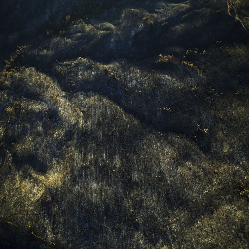 Thomas Heinser, Mendocino County 2222, 2020