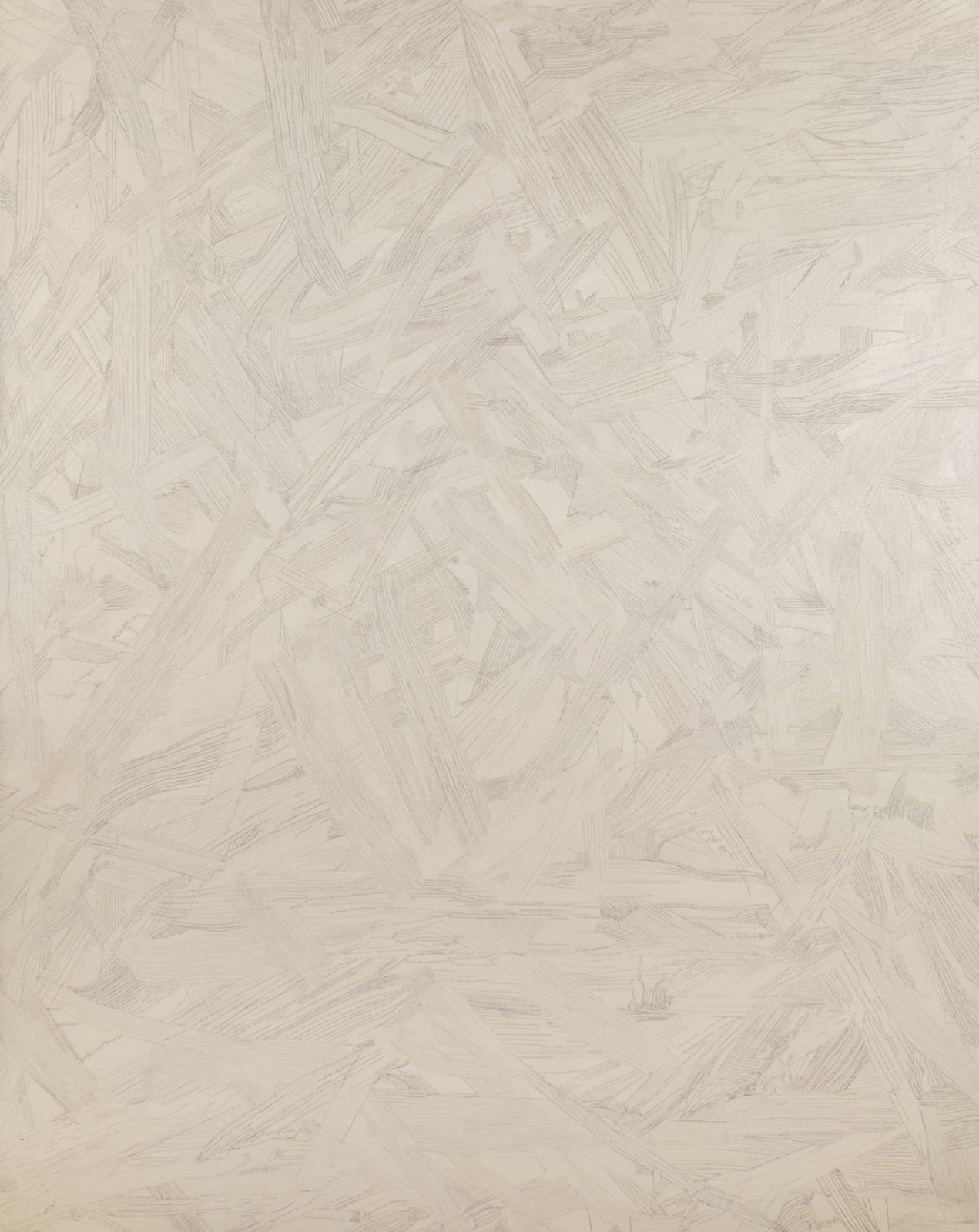 Ronnie Genotti, Snow Fort 6, 2025