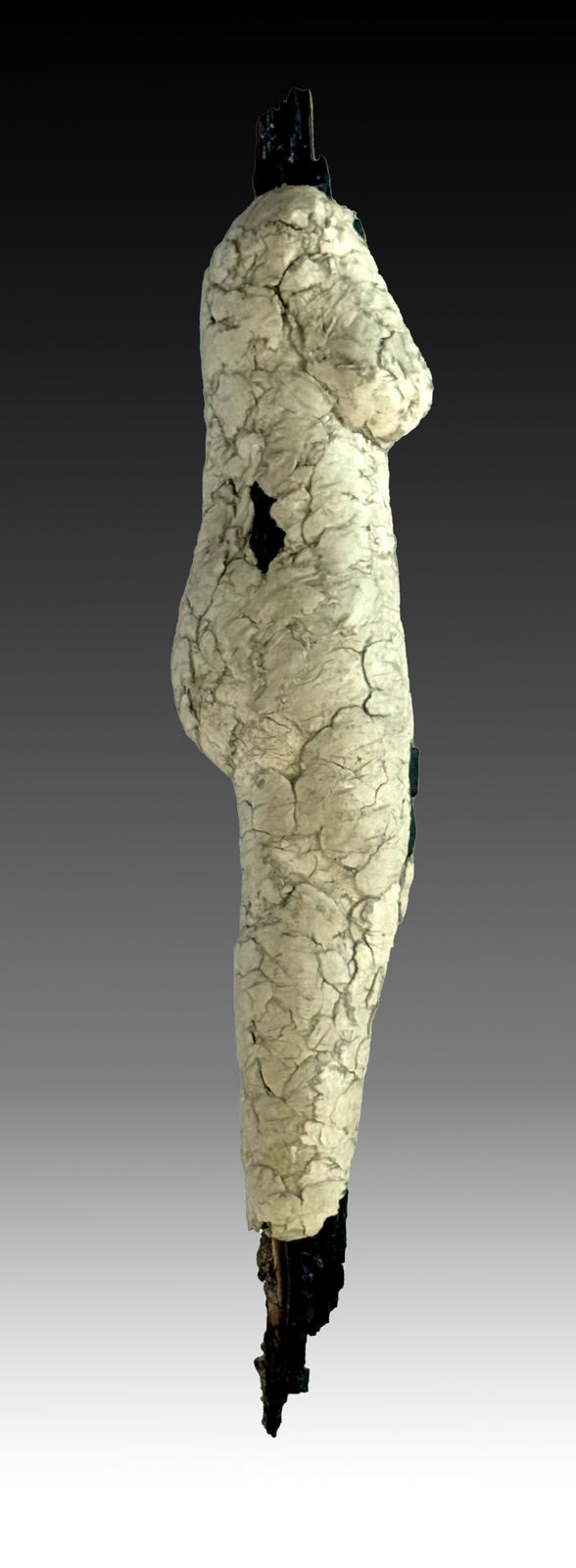 Denise Carletta, no. 7