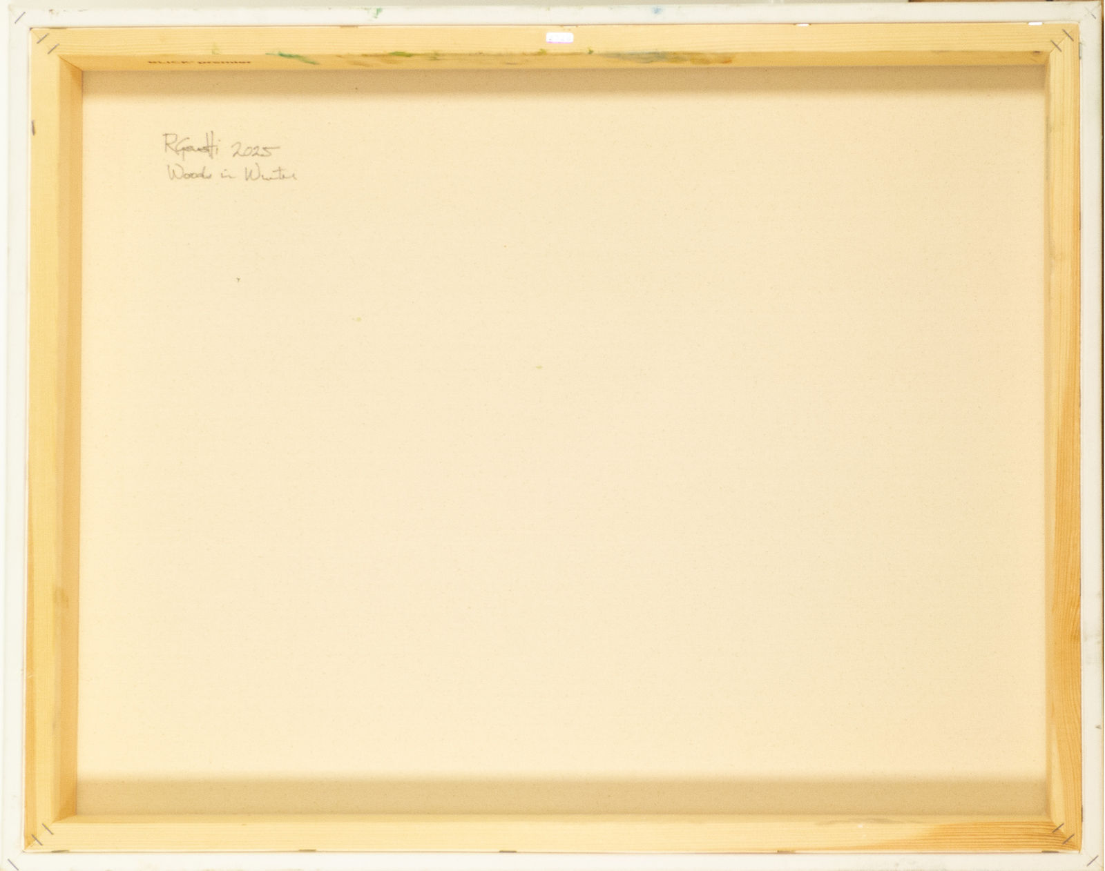 Ronnie Genotti, Woods in Winter, 2025