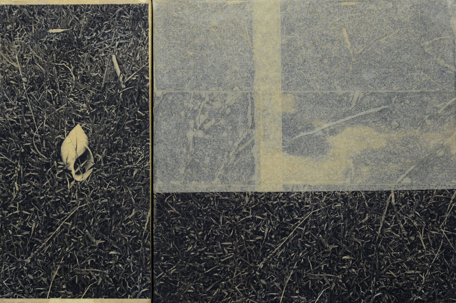 Eunice Sanchez, Interruptions (I), 2026