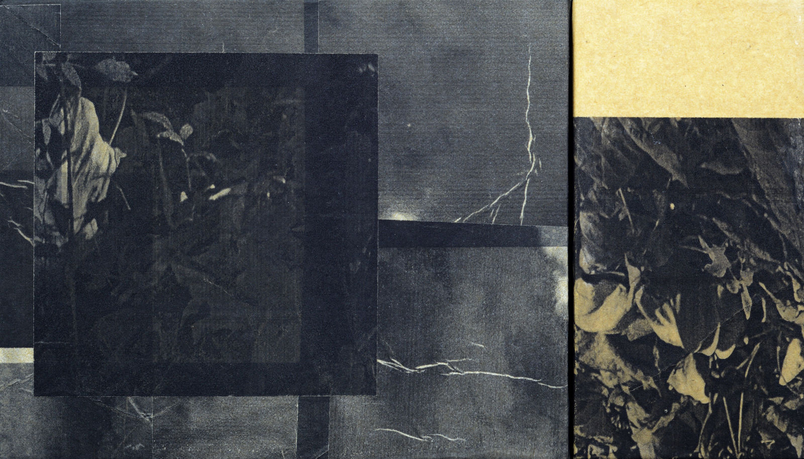 Eunice Sanchez, Interruptions (III), 2026