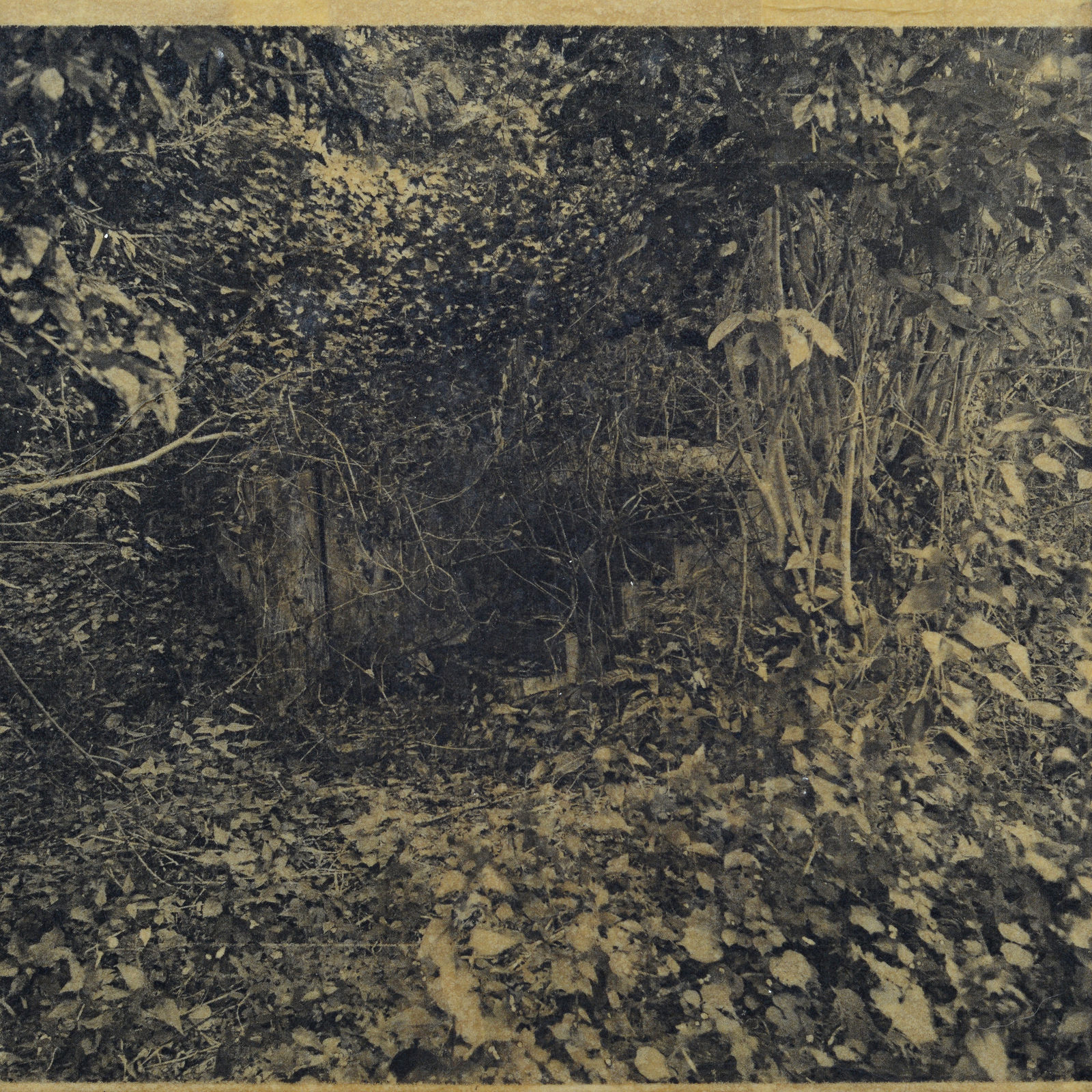 Eunice Sanchez, Interruptions (IV), 2026