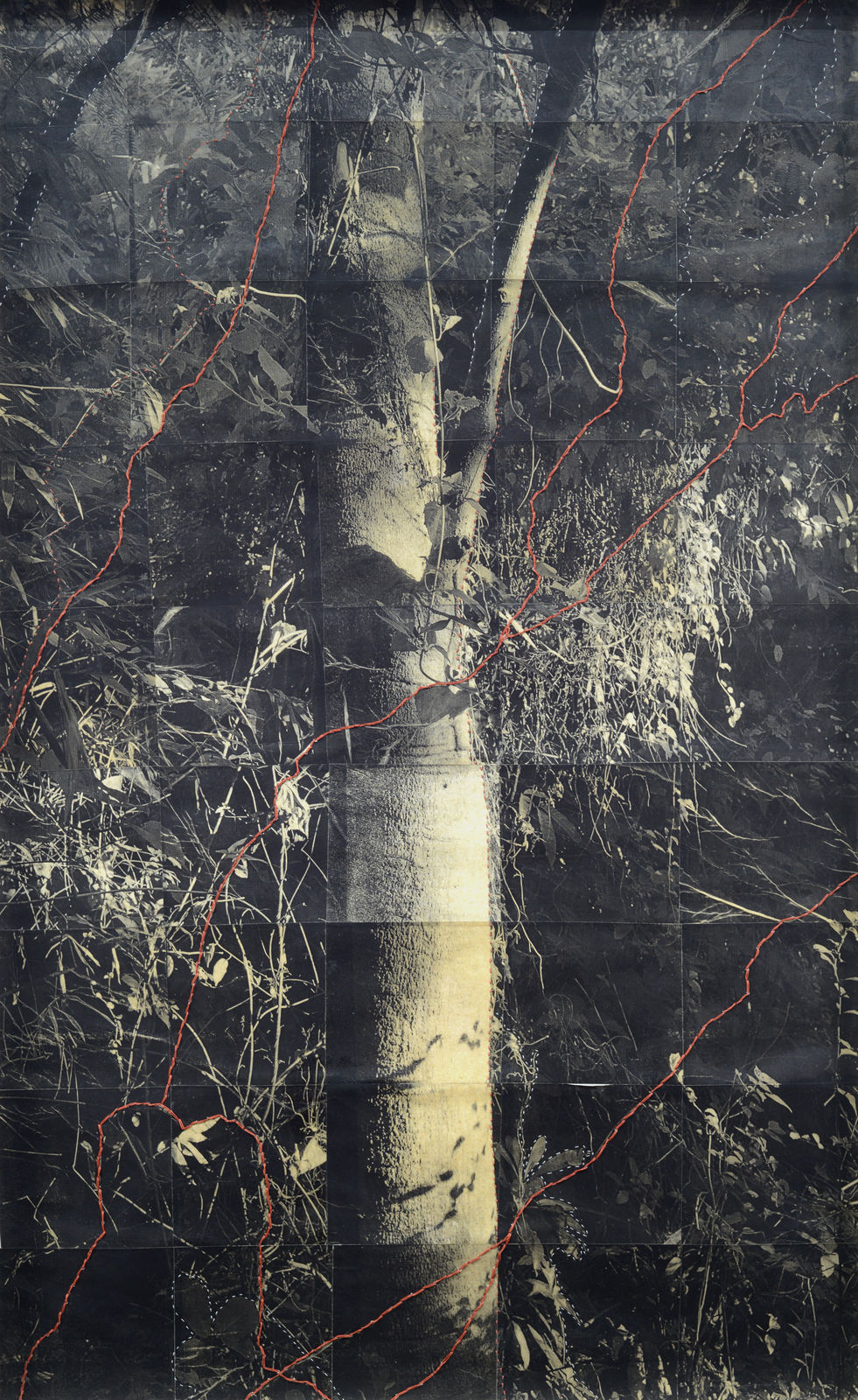 Eunice Sanchez, Witness (I), 2026