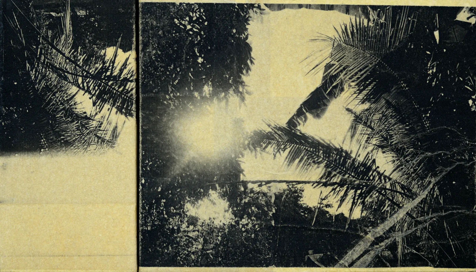 Eunice Sanchez, Kindness (I), 2026