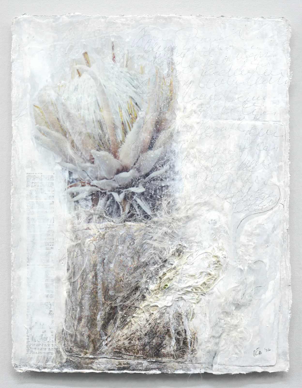 Oca Villamiel, Be Like the Bird, 2026