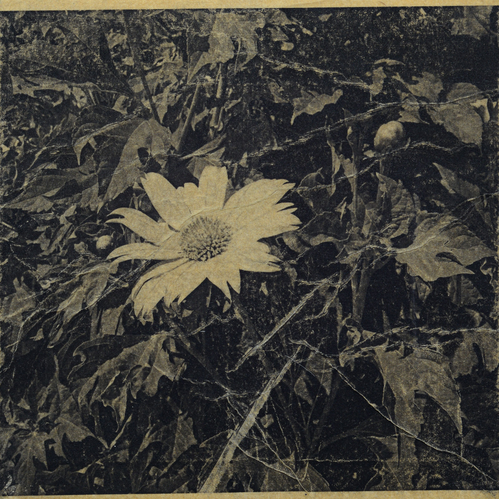 Eunice Sanchez, Interruptions (II), 2026