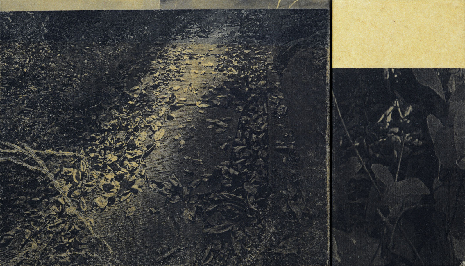 Eunice Sanchez, Ascent (II), 2026