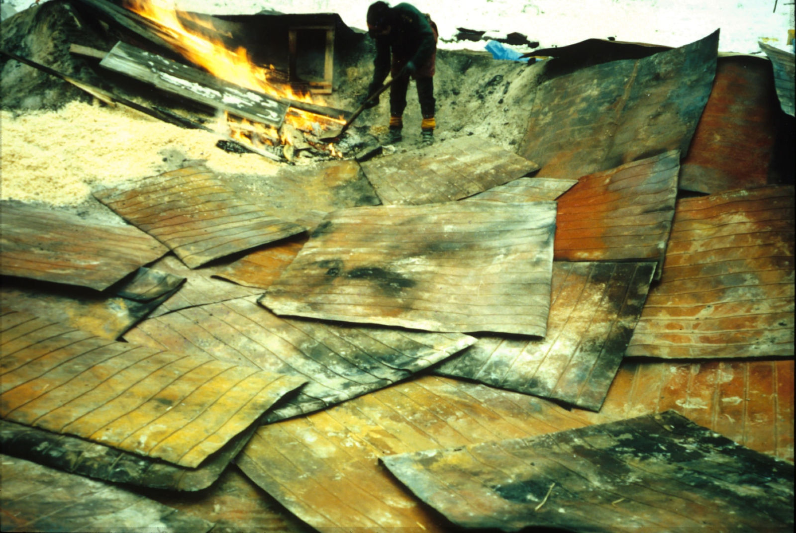 Photo of the land after the fire