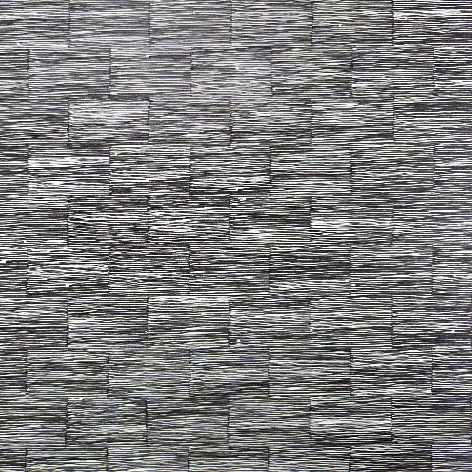 Detail of Graphite drawing broken up into small boxes creating the illusion texture on the page.