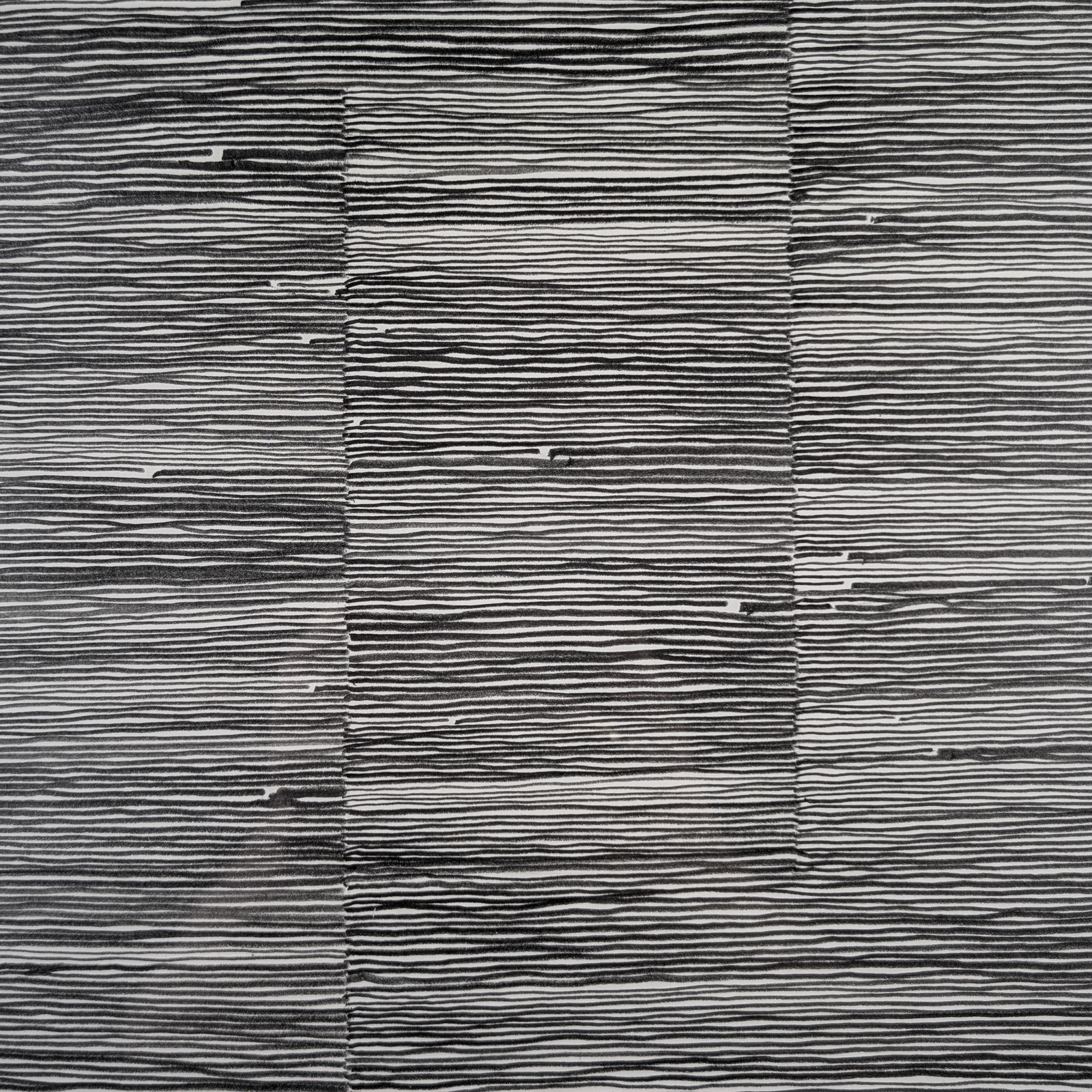 Minimalist graphite drawing on paper consisting of many lines in a grid-like structure