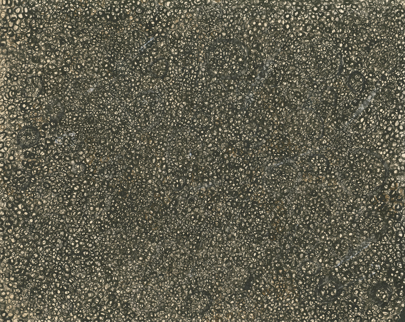 Abstract work on paper consisting of small marks covering the entire visual field