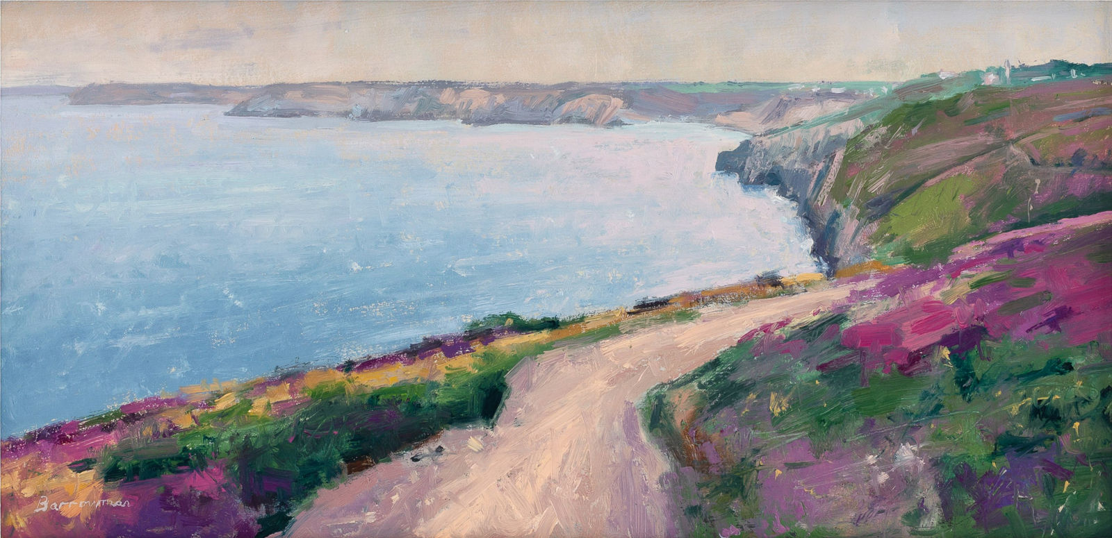 Andrew Barrowman, Cornwall Coastpath in July, St Agnes Head