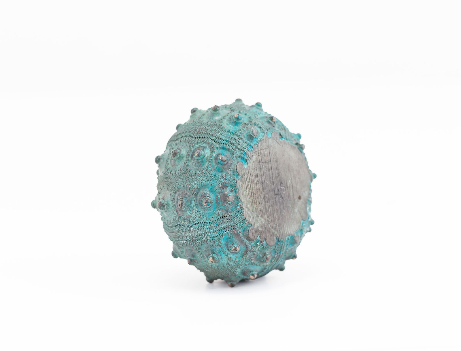 Sara Ross, Small Sea Urchin