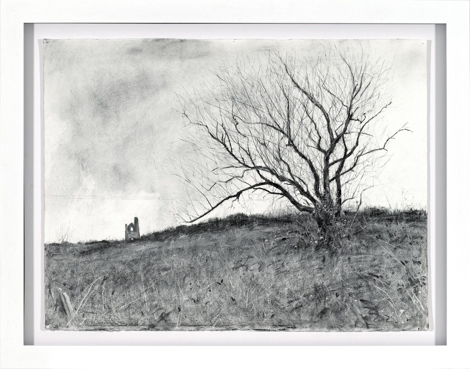 Andrew Barrowman, Tree in the Cornish Landscape