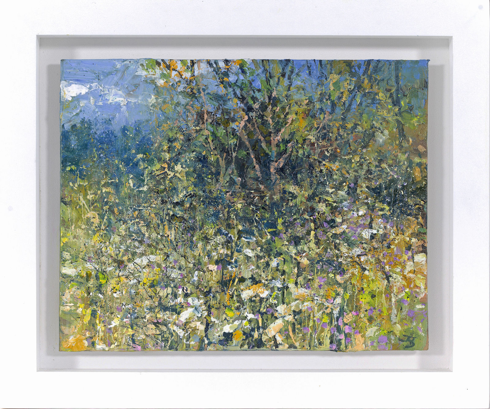 John Brenton, The Edge of a Cornish Field