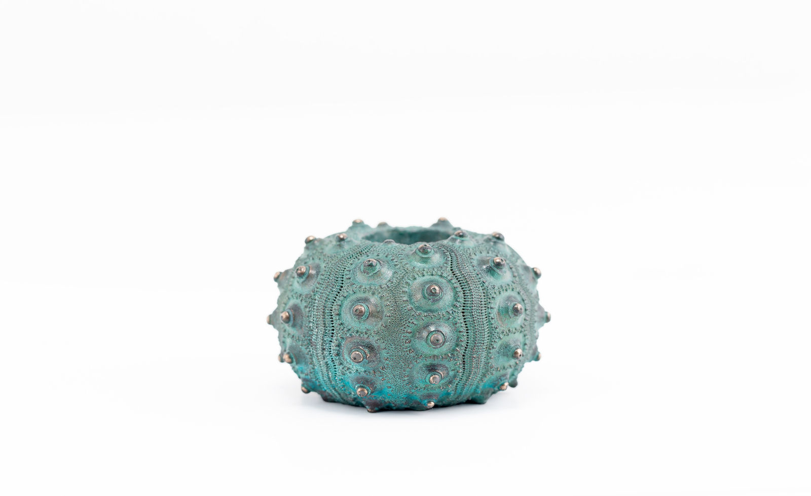 Sara Ross, Small Sea Urchin