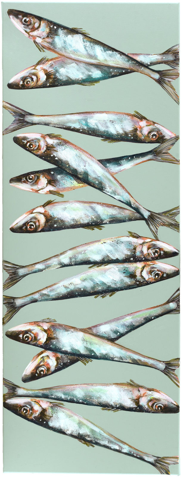 Caroline Cleave, Cornish Sardines