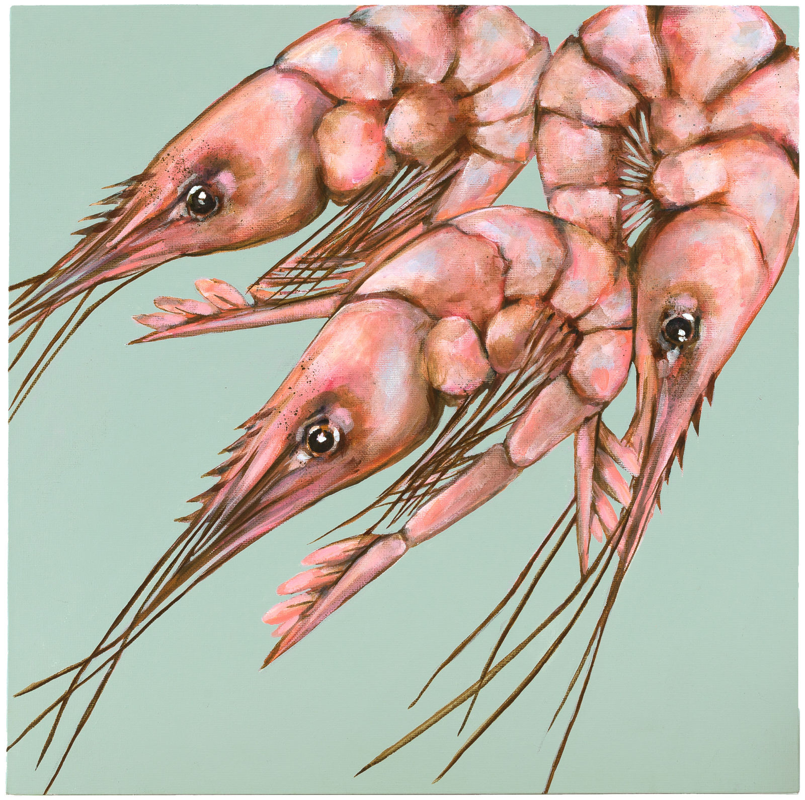Caroline Cleave, Pink Prawns