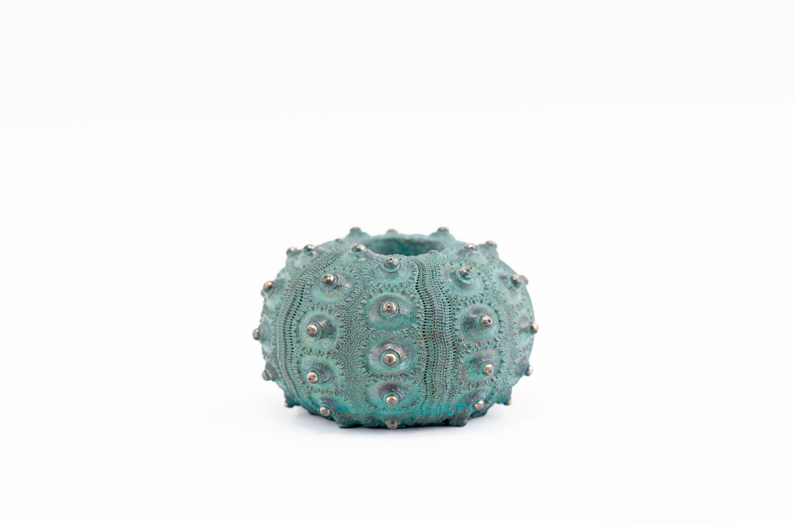 Sara Ross, Small Sea Urchin