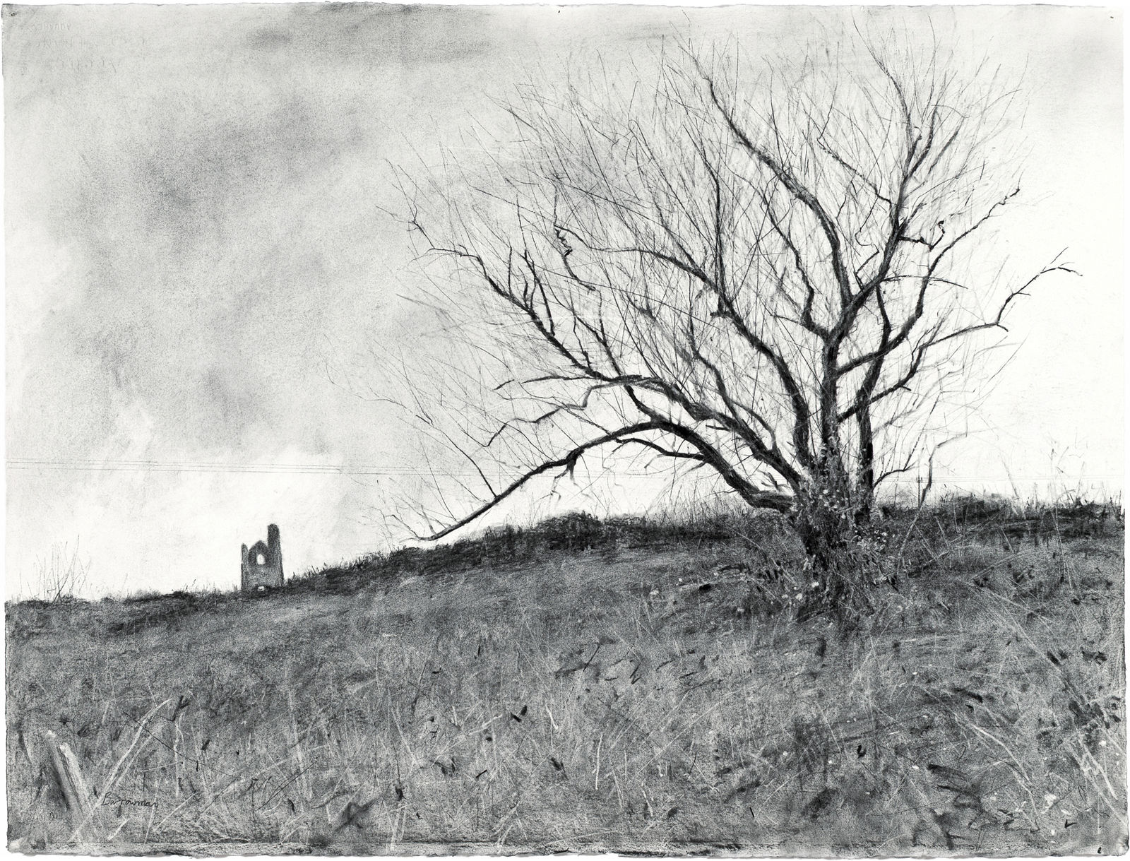 Andrew Barrowman, Tree in the Cornish Landscape