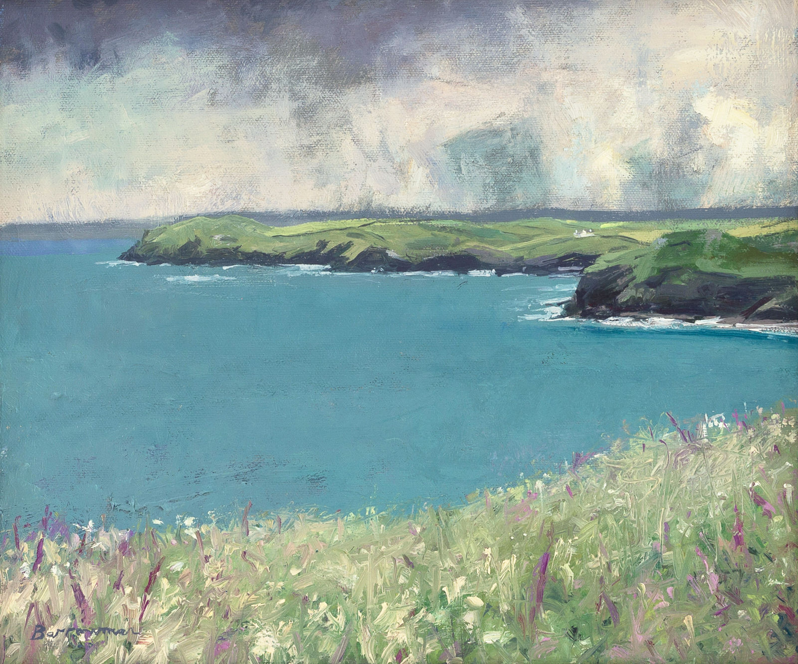 Andrew Barrowman, Amazing Year for Foxgloves, Carnweather, North Cornwall Coast