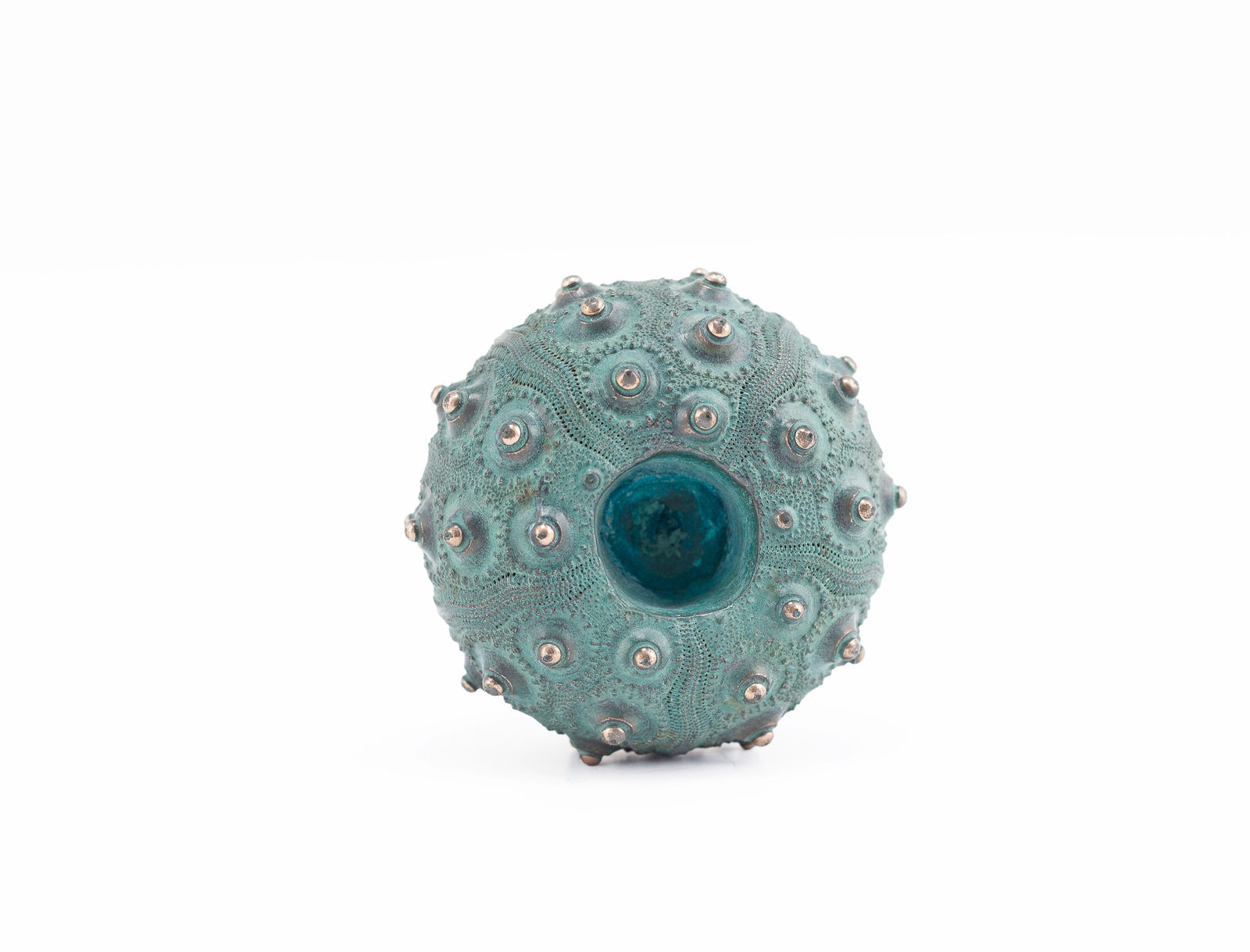 Sara Ross, Small Sea Urchin