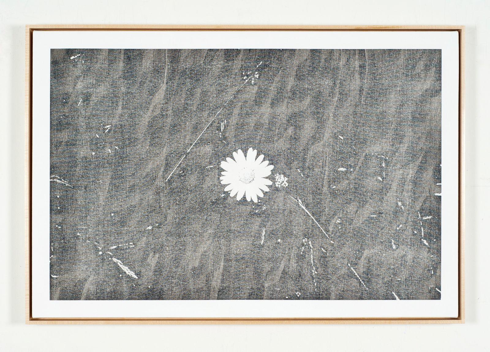 Martin Bennett, Static Image Painting/Grey/Wildflower/Wildwood Road/Hampstead/London/Walking Back From Heathwood/Two, 2016/2015